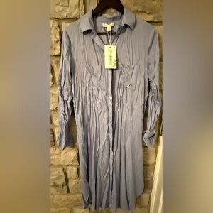 Light Blue Casual Shirt Dress